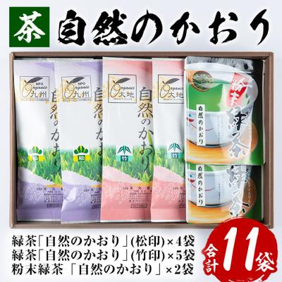 ふるさと納税 いちき串木野市 鹿児島緑茶 自然のかおり 11袋セット