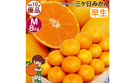 みかん 早生 Mサイズ8kg ミカン 果物 くだもの みかん