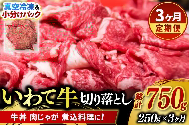
            ＼3ヶ月連続 定期便／ 切り落とし 肉 牛肉 小分け 真空冷凍 いわて牛 250g (総計 750g) 岩手県産 和牛 牛肉 黒毛 和牛 切り落とし肉 大容量 肉 すき焼き 肉じゃが 煮込み 煮物 赤身 国産牛 小分け 冷凍 数量限定 (AB094)
          