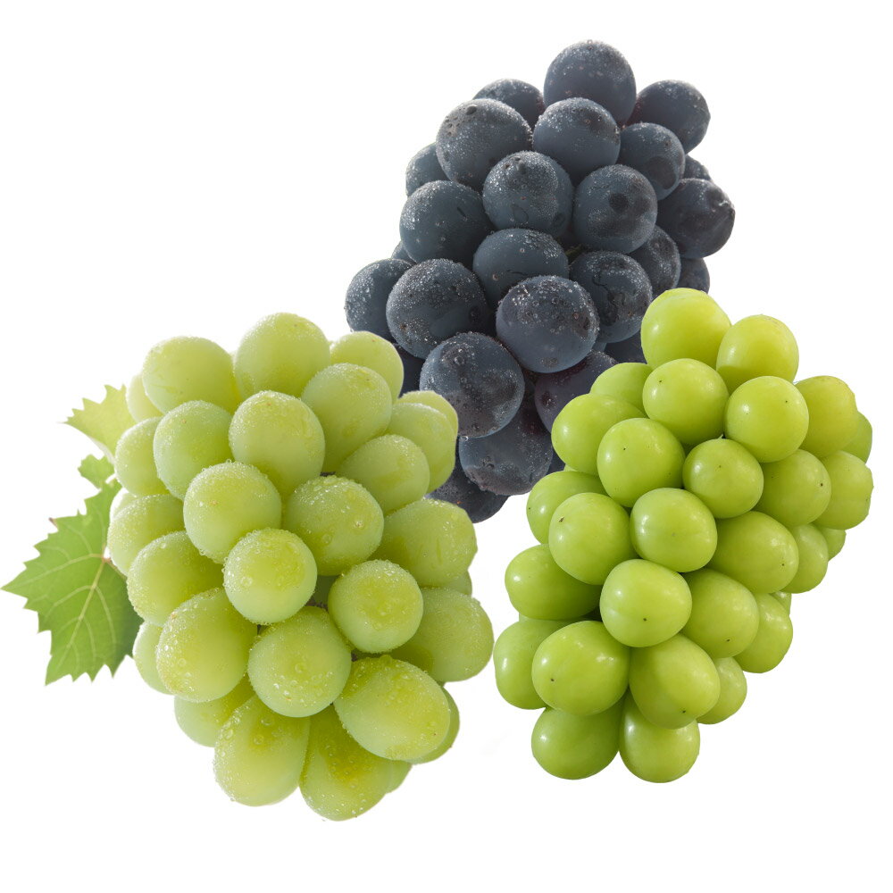 【ふるさと納税】【3回定期便】晴れの国 岡山のぶどう定期便 3回コース 葡萄 ブドウ マスカット・オブ・アレキサンドリア ニューピオーネ シャインマスカット 岡山県産 国産 セット ギフト 岡山県 倉敷市 送料無料 【2026年7月上旬発送開始】