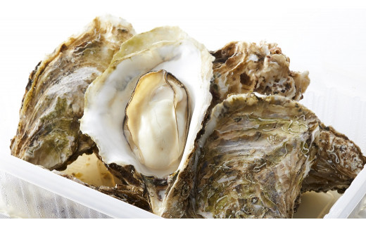 レンジで簡単！ 蒸し牡蠣 15個セット〈殻付き牡蠣 Sサイズ10個 Mサイズ5個〉【 牡蠣 かき 殻付き 簡単 レンジ調理 時短 国産 三陸産 】 RT482