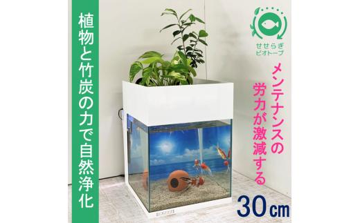 ビオアクア30型証明＋スチールカバー（白色）