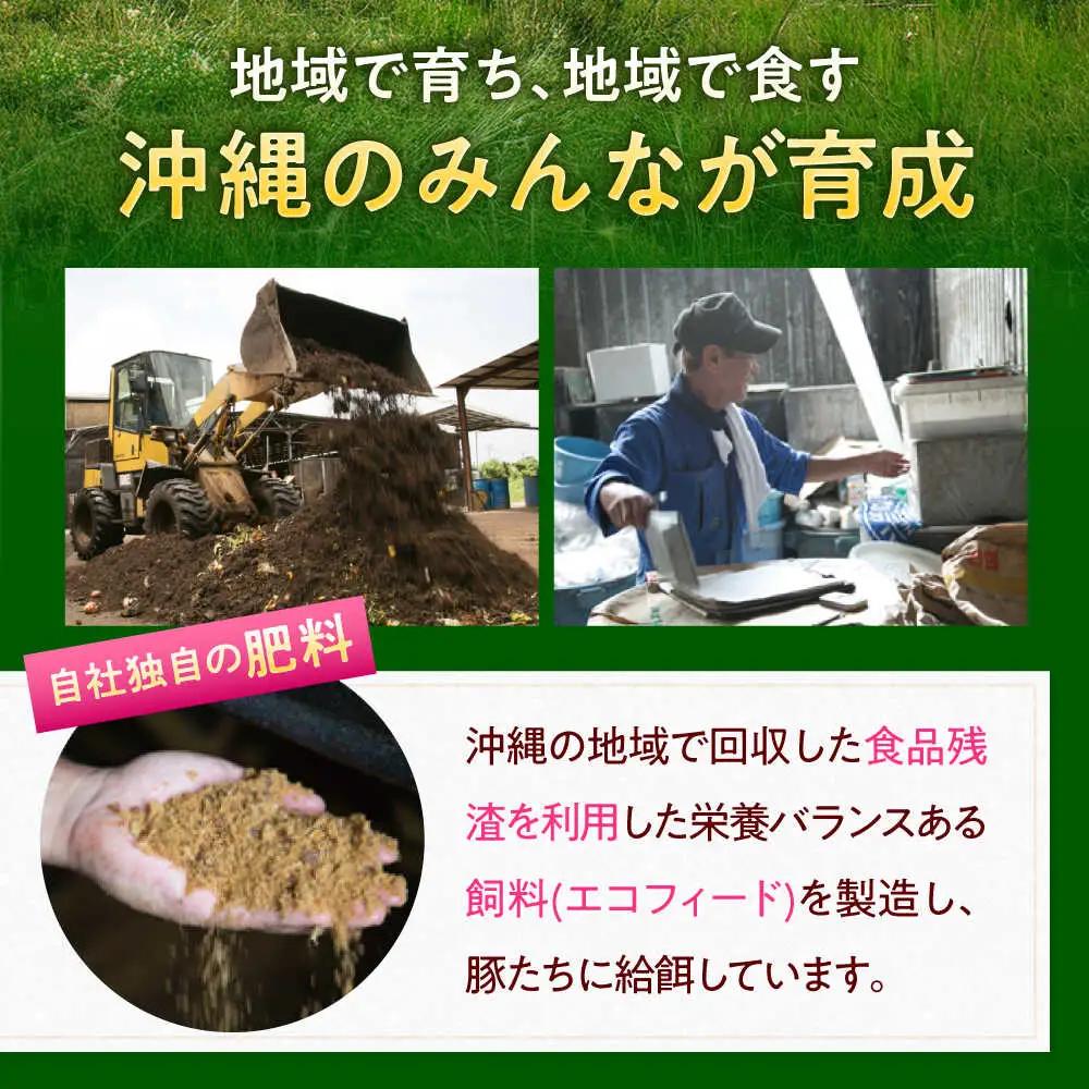豚肉焼肉セット200g×各6P 豚肉 小分け BCAJ002