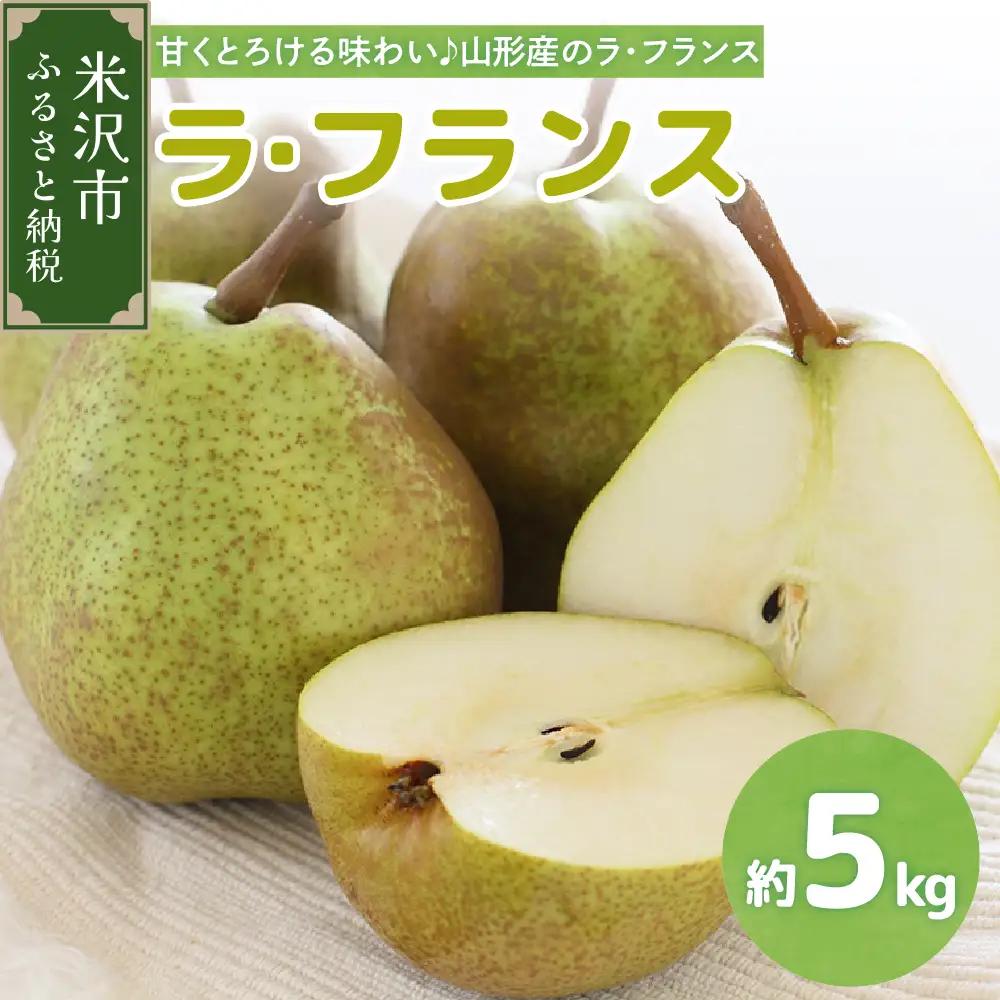 【先行予約】 令和8年産 ラ・フランス 約5kg 14玉 ～ 16玉