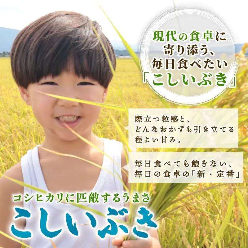 令和8年産 こしいぶき 定期便 5kg 3回 15kg 新潟 新米 3か月 先行予約 越後の新しい息吹 コシヒカリ の遺伝子を引き継ぐ 米 おこめ お米 ご飯 ごはん オニギリ お弁当 kome 送料