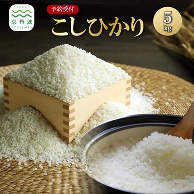 ふるさと納税 京丹波町 【発送月固定定期便】《 先行予約 》2026年10月発送開始 こしひかり 京丹波町産 5kg全3回