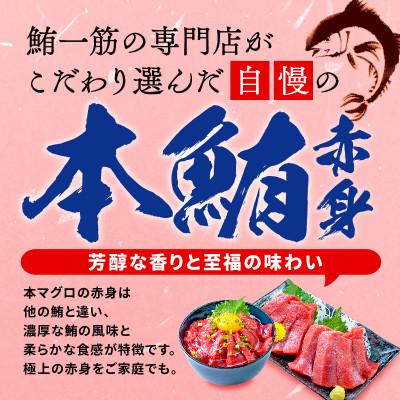 ふるさと納税 藤枝市 【訳あり】本鮪 赤身　500g |  | 01