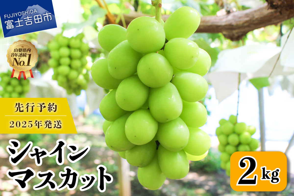 【フルーツ王国】 山梨県産 シャインマスカット 約2kg (2～3房)