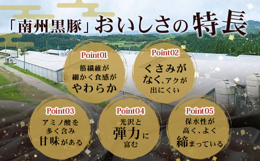 【スピード発送】「バナナマンの早起きせっかくグルメ」で紹介されました♪ 鹿児島県産 黒豚ロース 味噌漬け 詰合せ 約500g ( 100g×5枚 ) NS-504 | 最短 7日以内 1週間以内 肉 お肉 豚肉 豚 にく 簡単調理 味付き おかず お弁当 お手軽 真空パック 鹿児島県 南大隅町 南州農場