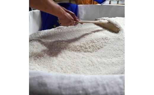 安芸虎純米吟醸入河内・安芸虎純米吟醸 セット 1,800ml 日本酒 2本 セット 1.8L 酒 ギフト 父の日 高知県 安芸市 地酒