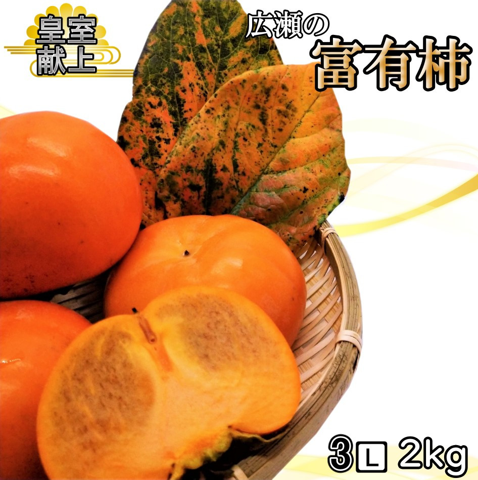 
            ＜2025年発送＞甘柿の王様　広瀬の富有柿 2kg 3Lサイズ 約5～6玉 179-014
          
