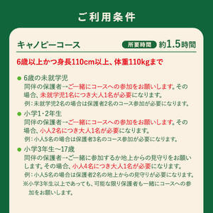 【キャノピーコース】フォレストアドベンチャー・おおすみ グループ体験チケット (最大10名様)【フォレストアドベンチャー・おおすみ】 D49