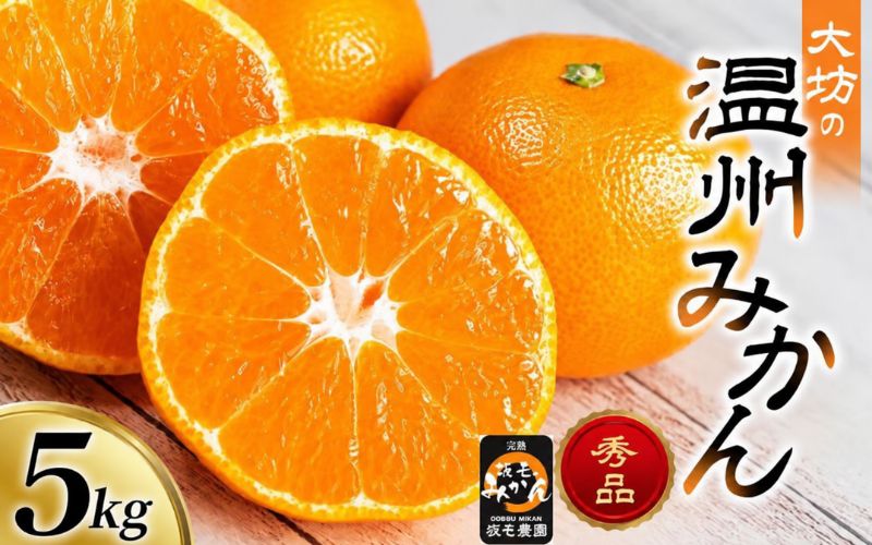 温州みかん 宮川早生 5kg 大坊 / 田辺市 温州みかん みかん 大坊みかん 坂も農園 フルーツ【sme008】