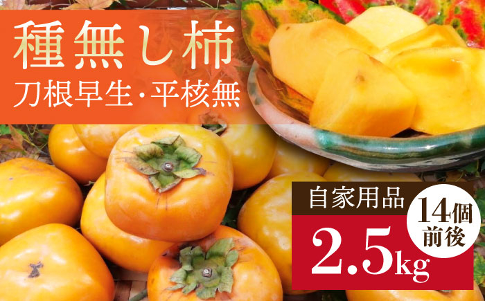 
            【糸島の種無し柿】刀根早生・平核無 自家用品 2.5kg 糸島市 / 二丈赤米産直センター 果物 秋 [ABB030]
          