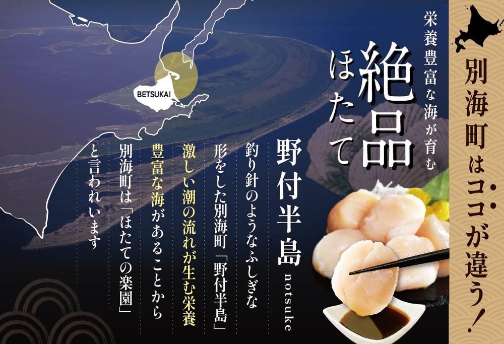 【毎月8ヶ月定期便】北海道 ほたて 特大 500g 野付産