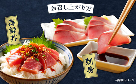 【冬季限定】下ごしらえ済 地魚セット 計2尾 鮮魚 処理済み 下処理済み キンメダイ クロムツ メダイ【長井水産株式会社】[AKAJ032]