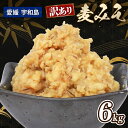 【ふるさと納税】 ＼10営業日以内発送／ 訳あり 麦みそ 6kg 宮居醤油店 麦みそ 味噌 みそ 加工食品 miso ミソ 麦味噌 発酵 発酵調味料 調味料 味噌汁 訳アリ 訳あり品 訳有り わけあり みそ汁 味噌おにぎり 味噌漬け 野菜 麦 手作り こだわり 国産 愛媛 宇和島 J010-122004