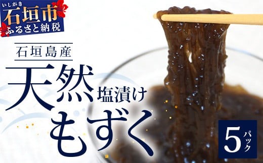 天然もずく(塩漬け) 2.25kg (450g×5個) 【石垣島特産】 | 沖縄 石垣島 八重山 もずく 塩もずく
