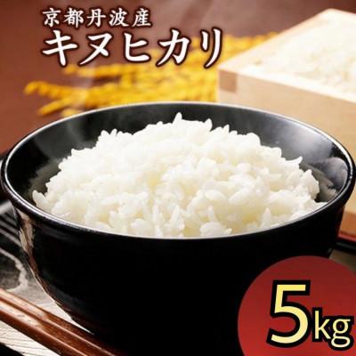 ふるさと納税 亀岡市 令和7年産 京都丹波産 キヌヒカリ 5kg 精米《JA京都たわわ朝霧》