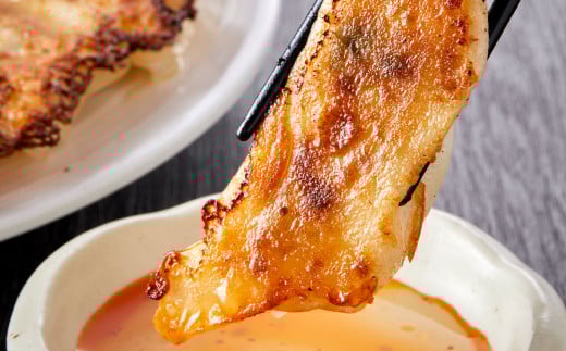 【年3回定期便】にんにくたっぷり 伝説の塩ぎょうざ 100個×3回 合計300個 餃子 ぎょうざ 惣菜 お惣菜 中華