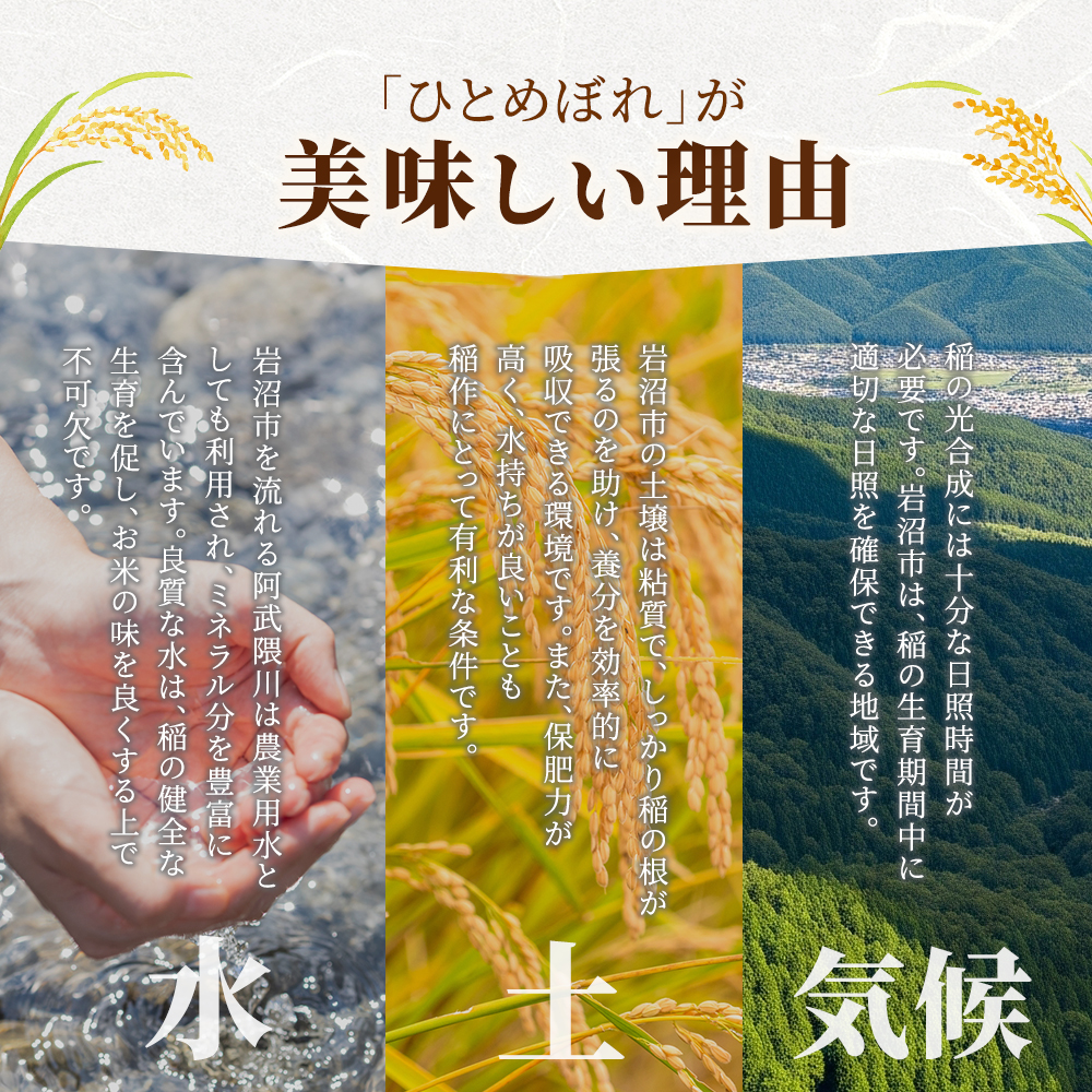 【先行予約/2ヶ月連続定期便】令和7年産新米 ひとめぼれ 10kg×2回 米 岩沼産 お米 白米 無洗米 ブランド米 単一原料米 10キロ こめ コメ おこめ ご飯 ライス 東北 宮城県産 宮城県産ひ
