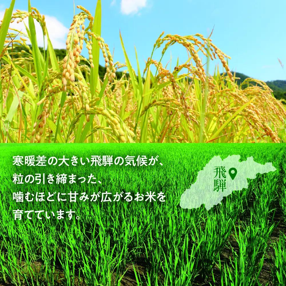 令和8年産 コシヒカリ白米 3kg / 米 新米 こしひかり ソイル