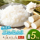 【ふるさと納税】長野県産 コシヒカリ 2kg （無洗米） 長芋 3kg のセット | コシヒカリ 無洗米 米 お米 おこめ こめ ごはん 野菜 やさい 長芋 ながいも 山芋 やまいも 自然薯 大和芋 とろろ とろろごはん とろろそば セット 長野県 塩尻市