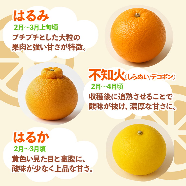 ＜1月より発送＞厳選 柑橘詰合せ5kg+250g（傷み補償分）◇【有田の春みかん詰め合わせ・フルーツ詰め合せ・オレンジつめあわせ】【光センサー選別】 ※北海道・沖縄・離島への配送不可 ※2026年1月