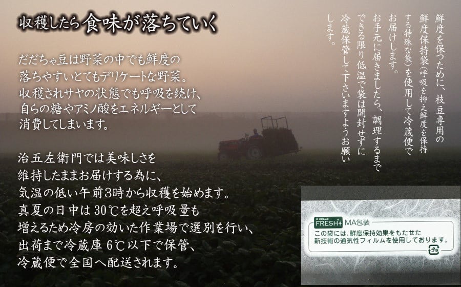 【令和8年産先行予約】 山形セレクション認定！15代目「治五左衛門」の新鮮だだちゃ豆 (早生だだちゃ豆)　1.35kg　(450g×3袋) 　8月上旬