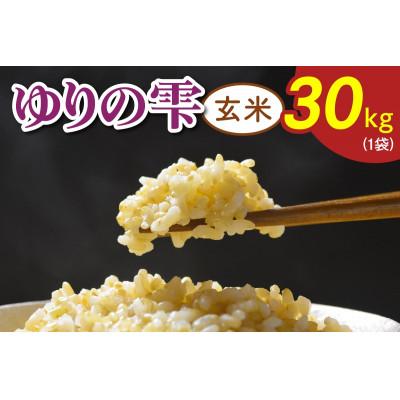 ふるさと納税 袖ケ浦市 令和7年産 ゆりの雫(ふさおとめ)玄米 30kg