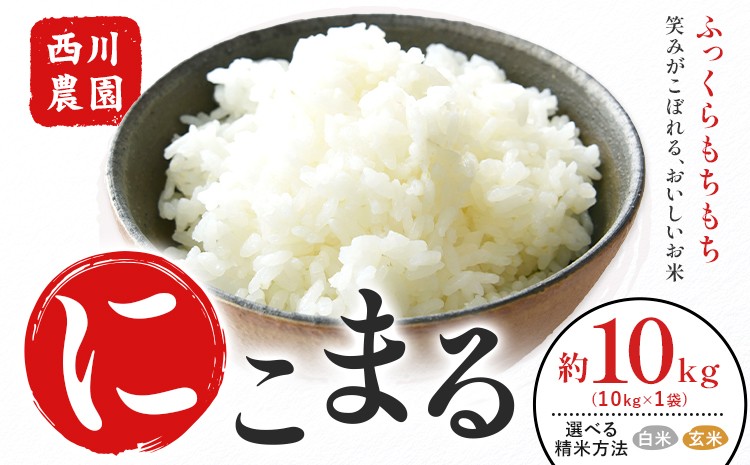 
                  令和7年産 米 にこまる 約10kg (10kg×1袋) こめ コメ 白米 または 玄米 西川農園《30日以内に出荷予定(土日祝除く)》 熊本県 荒尾市 米 白米 玄米 こめ 
                