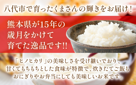 【ふるなびWEEK対象】【先行予約】《令和7年産》くまさんの輝き 5kg×2袋 合計10kg  熊本県 八代市産 米 お米 精米 白米 国産 【2025年11月下旬より順次発送】