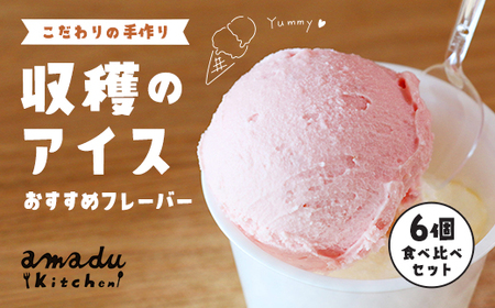 【こだわりの手作り】収穫のアイス＜おすすめフレーバー食べ比べ6個セット＞ アイスクリーム アイスクリーム アイスクリーム アイス アイス アイス