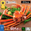 【ふるさと納税】浜茹で 越前がに≪竹セット≫2〜3人前 かに酢 食べ方しおり スプーン付き【雄 ズワイガニ ずわいがに 姿 ボイル 福井県】【選べる杯数！1〜3杯】【2月発送分】希望日指定可 備考欄に希望日をご記入ください [e04-x008_02]