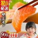 ＼発送時期が選べる／ シルバーサーモン （ 銀鮭 ） 切り落とし 900g 小分け 300g × 3パック サーモン 鮭 刺身 魚介類 魚 海鮮 和食 洋食 ご飯のお供 サラダ カルパッチョ 食品 お取り寄せ グルメ 関西 大阪府 泉佐野市 冷凍 送料無料