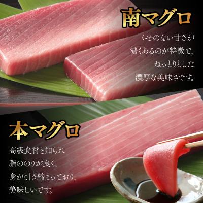 ふるさと納税 室戸市 本マグロ　南マグロ　中トロ各1柵　(計400g)　食べ比べ |  | 02