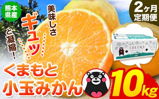 【2ヶ月定期便】訳あり みかん くまもと小玉みかん 約 10kg (10kg×1箱)  蜜柑 柑橘 《2026年10月-11月出荷》 ご家庭用 小玉 たっぷり 熊本県産 S-3Sサイズ 期間限定 フルーツ 10000 g 旬 柑橘 長洲町