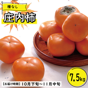 SE0237　【3回定期便】酒田の季節のフルーツ頒布会 Ｃコース2024 (大玉メロン、刈屋梨、庄内柿)