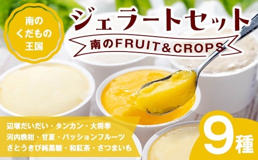 A83004 ＜先行予約受付中！2026年4月以降順次発送予定＞南のくだもの王国 南のFRUIT＆CROPS ジェラート セット (9種 9個入り) ジェラート アイスクリーム アイス スイーツ フルーツ おやつ デザート お菓子 冷凍 冷凍食品 ギフト 甘夏 タンカン 柑橘  大将季 【農地所有適格法人株式会社P＆Y'sLabo】