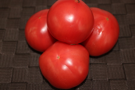 季節のお野菜セット（7~10種） 国産 鳥取県産品 定期便 詰め合わせ 新鮮