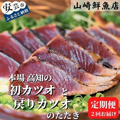 ふるさと納税 安芸市 【発送月固定定期便】本場 高知の初カツオと戻りカツオのたたき定期便 2節セット×全2回
