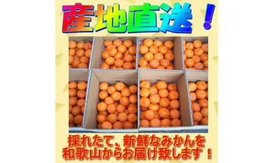 【赤秀ランク】完熟有田みかん 10kg※2026年12月上旬頃～12月下旬頃に順次発送予定 /  有田 ミカン 蜜柑 プレミアム 秀品 フルーツ 果物 柑橘 和歌山県 由良町 【stmr004-p-1