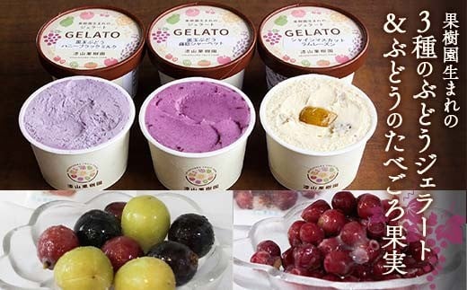 果樹園生まれの 「3種のぶどうジェラート ＆ ぶどうのたべごろ果実 (冷凍フルーツ)」セット 『漆山果樹園』 シャインマスカット ハニーブラック 藤稔 ぶどうミックス デラウェア フルーツ 果物 冷凍 デザート 山形県 南陽市 [2353]