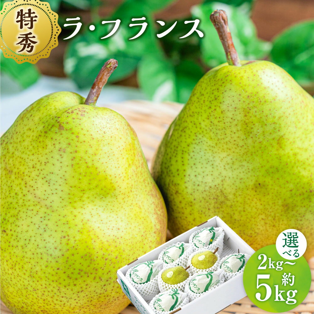 【ふるさと納税】 山形おきたま産 ラ・フランス （特秀） ＜選べる容量＞【5玉～6玉（約2kg） 【化粧箱入り】 ／8玉～11玉（約3kg） 【化粧箱入り】 ／14玉～18玉（約5kg）】 山形県産 フルーツ 果物 【2026年11月上旬～12月上旬発送予定】