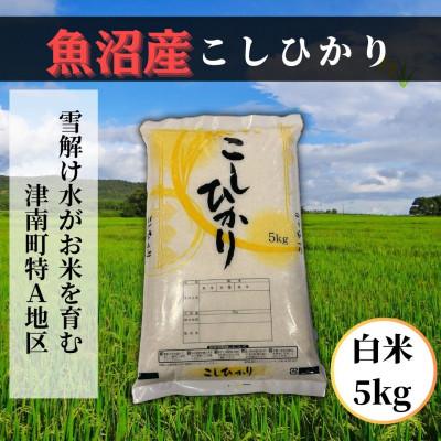 ふるさと納税 津南町 【先行予約】【令和8年産】 魚沼産コシヒカリ 白米5kg 魚沼地域津南町の美味しいお米