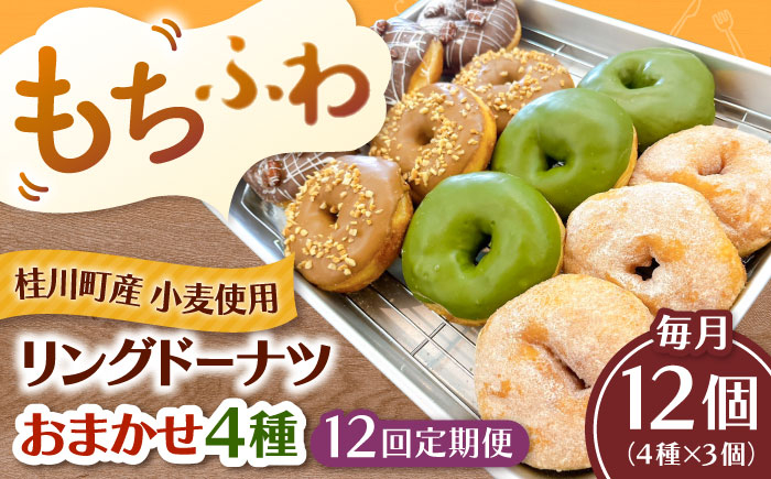 
            【全12回定期便】ふわもちリングドーナツ おまかせ12個セット（4種類×3個）桂川町/Mio:Donut [ADBH053]
          