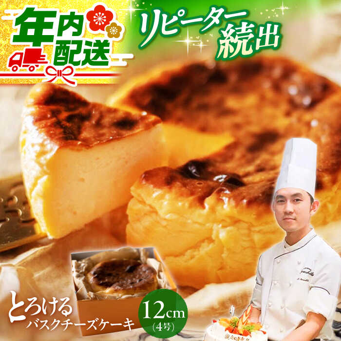 【ふるさと納税】【12/23入金まで年内配送☆日時指定可能】いわしたの バスクチーズケーキ 1個 ＜お菓子のいわした＞[CAM068] 長崎 西海 チーズケーキ ケーキ お祝い 誕生日 記念日 贈答 ギフト 熨斗 9000円 9千円 10000円 1万円