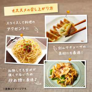 にんにく 乾燥 国産 1kg 【先行予約】保存食 乾燥にんにく