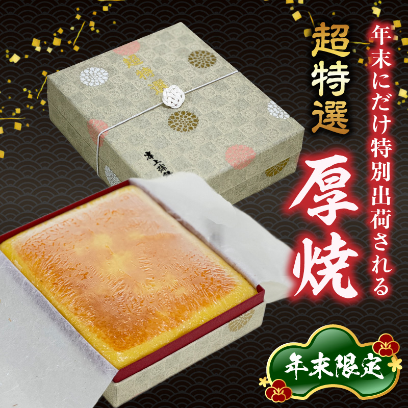 超特選厚焼 N006-YA769