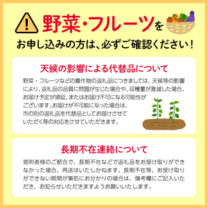 【 先行予約 ：12月下旬～1月下旬発送予定 】みかん 10kg S～2L 青島 ミカン 果物 国産 フルーツ 柑橘 静岡県産 蜜柑 大小 訳あり ミックス 不揃い ビタミン 美味しい 静岡県 藤枝市